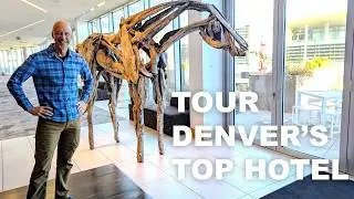 Tour the Best Hotel in Colorado: Denver's Art Hotel