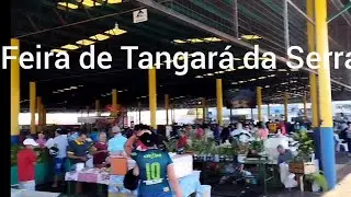 Experimentei o pastel da feira de Tangará da Serra MT