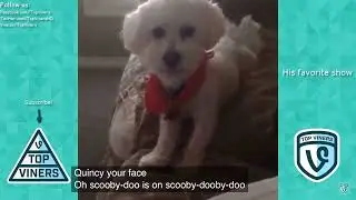 Quincy Fave Show Scooby Doo @Patrick Barnes