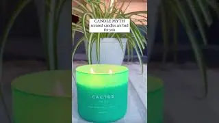 Candle Myths & Truths Part 1 #shorts