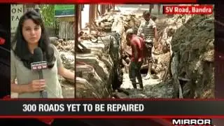 45% of road repair work complete: BMC  - The News