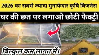 Solar Drayer में ऐसे सुखाओ फल सब्जियां| क्वालिटी आयेगी एकदम शानदार|