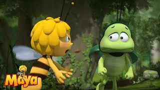Rules are important! - Maya the Bee🐝🍯🐝