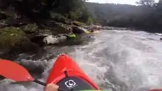 Toaroha Dehydration