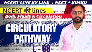 Circulatory Pathway in Humans | Double Circulation | Class 11 Biology NCERT | NEET | ASVBIOLOGYCLASS