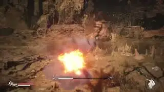 Каменный страж/Stone guardian