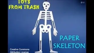 PAPER SKELETON - ENGLISH - 34MB.avi