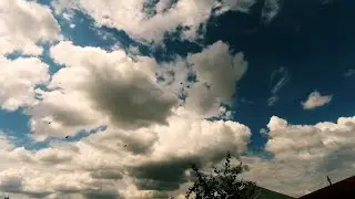 Free Moving Clouds Video | Sky Video Background Timelapse (No Copyright) Ep.8