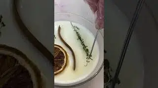 Transformation From Wax To Luxury Candle | Handmade Botanical Natural Soy Wax Wood Wick Candles! 💜🌱