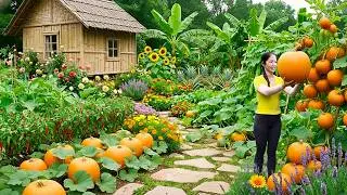 [TIMELAPSE] - 188 Days Harvesting 1000+ Giant Red Pumpkin, Wild Langsat Goes To Market Sell