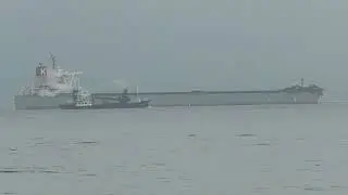 Bulk Carrier CAPE GREEN 9 2025