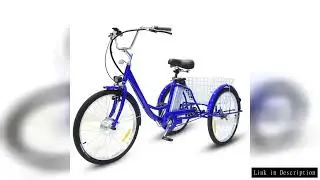 24 Inch Adult Electric Tricycle 3 Wheel 350W 36V Electric Cargo Bike For Elderly  With Big Cargo Bas