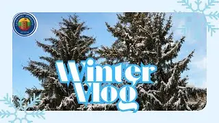 Winter vlog Vilnius,Lithuania 🇱🇹 #snow #nature #new #2026 #explore #vilnius #lithuania 
