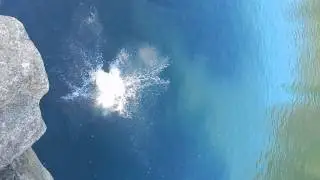 Adam Cliff Jumping - Gloucester, Ma