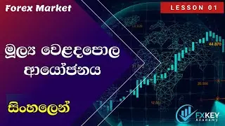 What is trading sinhala | Forex trading sinhala | Binary option sinhala.