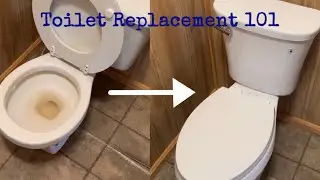 Toilet Replacement 101 (featuring the Glacier Bay Power Flush!)