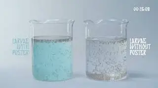 Habitat Dissolving Poster Case Study
