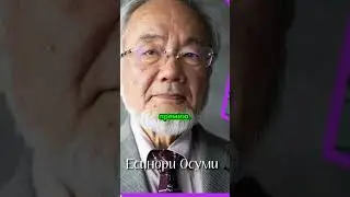 Секреты долголетия: как аутофагия может изменить вашу жизнь!