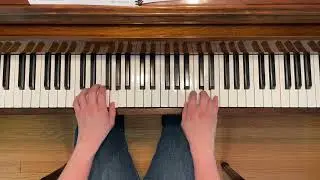 The Entertainer - Adult Piano Adventures All-In-One Piano Course Level 1