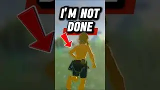 Goodbye Breath of the Wild&hellip;