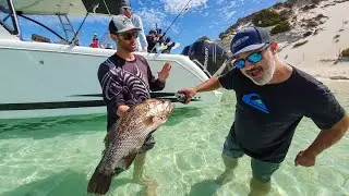 AMAZING ISLAND | ROTTNEST ISLAND | Catch and Cook.