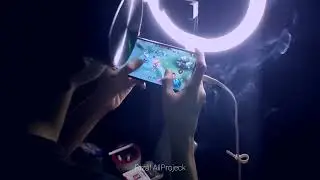 STORY WA /MOBILE LEGEND