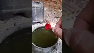 como curar coriza infecciosa em pintinhos.