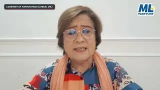 De Lima counters Trillanes' claim Robredo would have opposed Duterte's ICC arrest