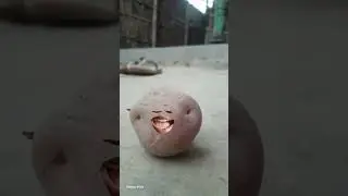 bhikari vs memsaheb🤣thetharouns vs max comedy #funny #jock