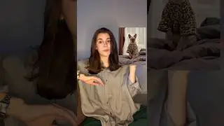 Как подружить котов #котики #кот #cat #catshorts #catvideos #cute #kitten #сфинкс #рекомендации