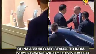 China has assured assistance to India: Responds to request for Nirav Modi's arrest