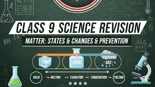 Matter our surroundings #Rapidrevision #class #science 