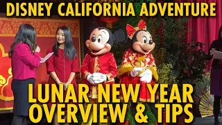 Lunar New Year 2020 Overview & Tips at Disney California Adventure | Disneyland