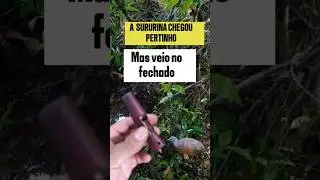 A SURURINA chegou pertinho mas veio no fechado