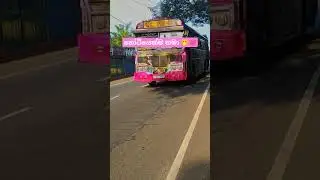 උන්ගේ Line එකට 😏💓&hellip;&hellip; #automobile #foryou #srilanka