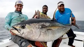 I SEE FISH