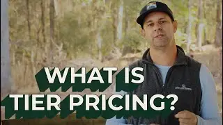 Summer Tier Pricing Explained