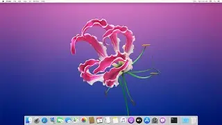 How to enable full screen on vmware | macOS |
