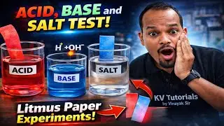 Litmus Paper Experiment | Acid, Base & Neutral Test | #acidbasesandsalt #scienceexperiment #litmus 