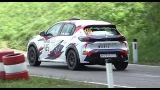 Rechbergrennen 2024 | Best Of Marco St&ouml;gerer | Peugeot 208 Rally4 | Waldherr Motorsport
