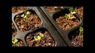 Not all growth makes noise. Some of the most important changes happen when no one is watching.