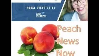 Luisa Wakeman for Georgia House