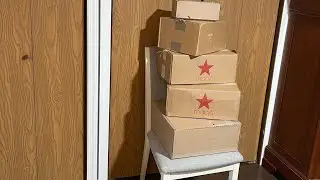 КОЛЛЕКЦИЯ COACH, моя САМАЯ БОЛЬШАЯ коллекция Coach на данный момент, включая: омбре-подушку-табби 26, Мэдисон, Тали, Тайлер 28