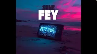 PETINA