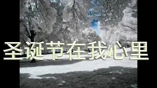 Christmas in My Heart - Vincent De LaCroix | Chinese subtitles by Hu Bin