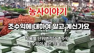 농사이야기 : 조수익에 대하여