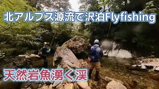 後編　天然岩魚湧く北アルプスの源流で1泊してフライフィッシング！