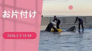 お片付け　2026.2.3 16:54