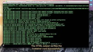 Slim.AI NGINX Demo