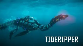 In Focus | Tideripper
